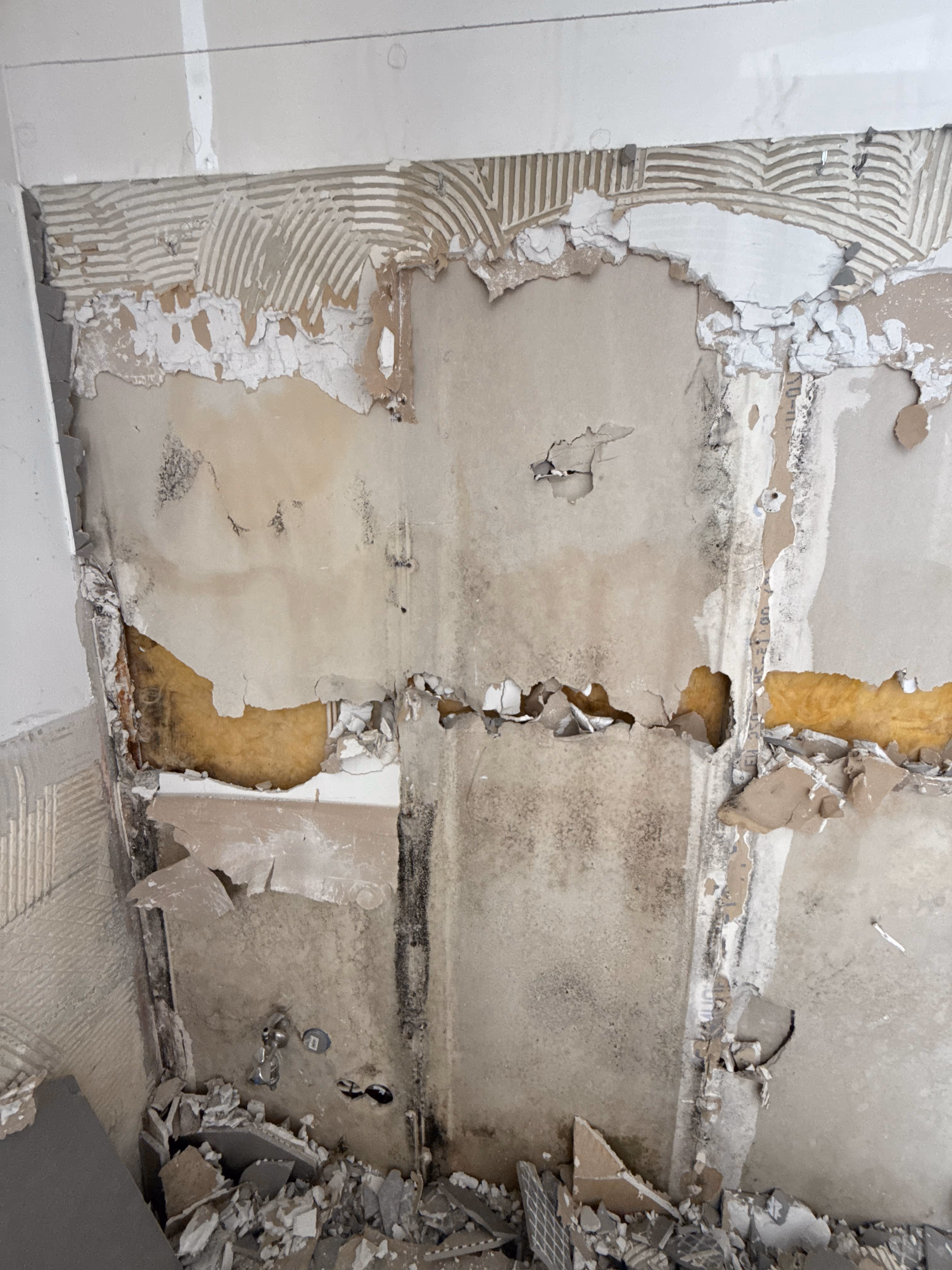 Abbrucharbeiten Wasserschaden Entkernung