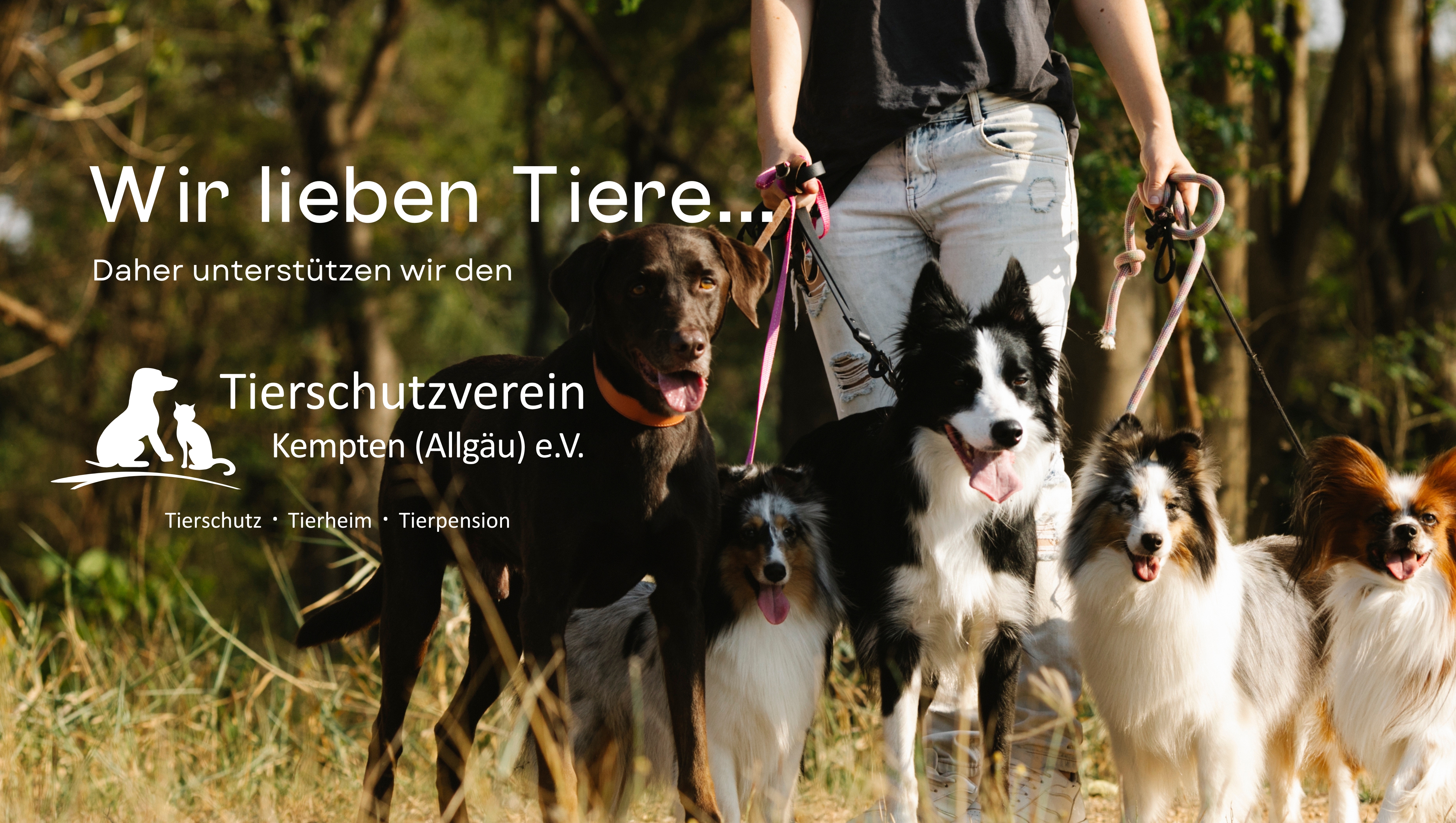 Wir unterstützen das Tierheim Kempten